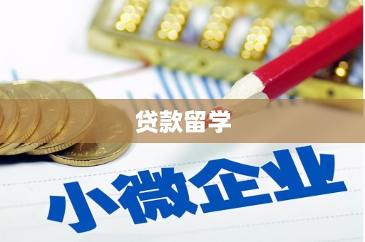 四湖贷款留学