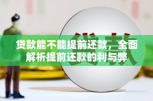 康保贷款能不能提前还款，全面解析提前还款的利与弊