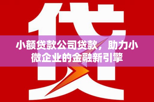 武隆小额贷款公司贷款，助力小微企业的金融新引擎
