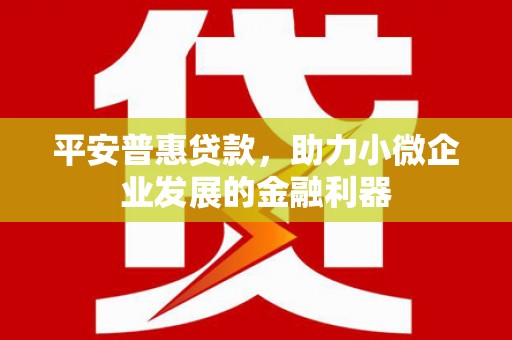 中坜平安普惠贷款，助力小微企业发展的金融利器