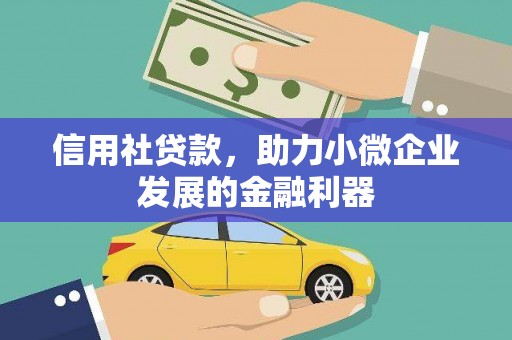 巴里坤信用社贷款，助力小微企业发展的金融利器
