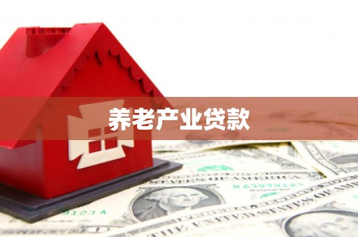 南港养老产业贷款