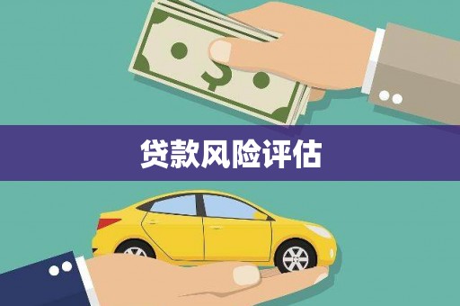 久治贷款风险评估