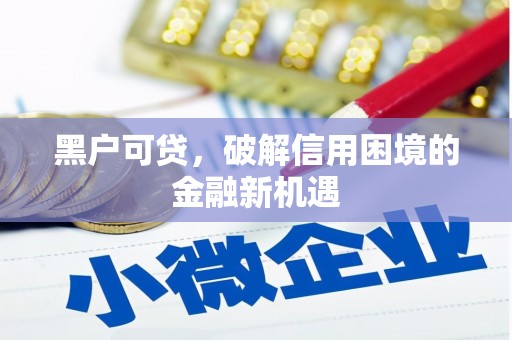 天元黑户可贷，破解信用困境的金融新机遇