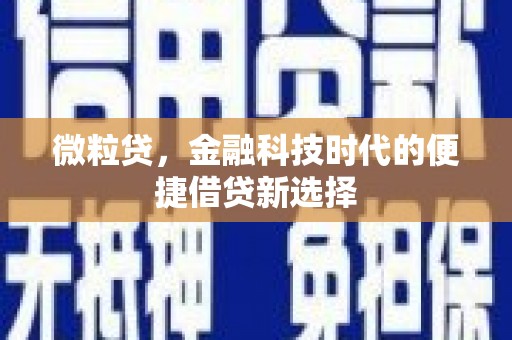 乐都微粒贷，金融科技时代的便捷借贷新选择