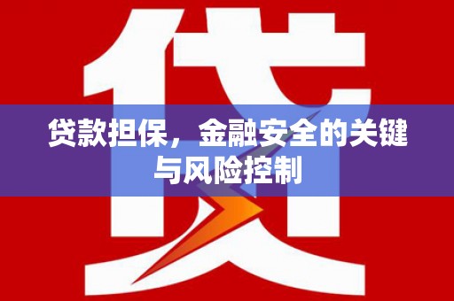 埌东贷款担保，金融安全的关键与风险控制