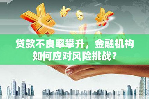 淄博贷款不良率攀升，金融机构如何应对风险挑战？