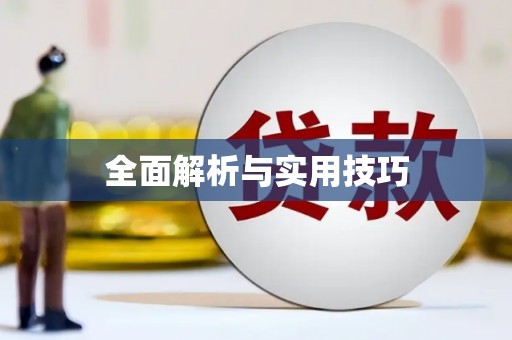 双牌全面解析与实用技巧