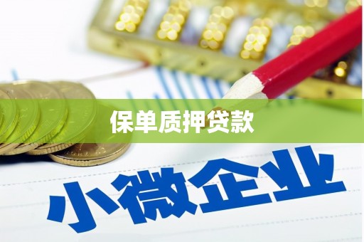 云龙保单质押贷款