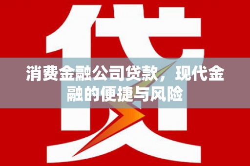 聂荣消费金融公司贷款，现代金融的便捷与风险