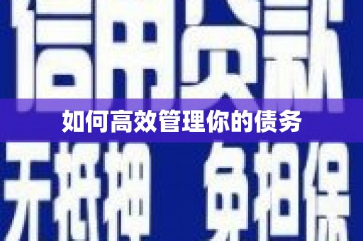 聊城如何高效管理你的债务