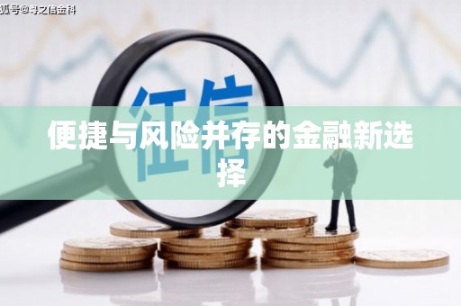 巴青便捷与风险并存的金融新选择