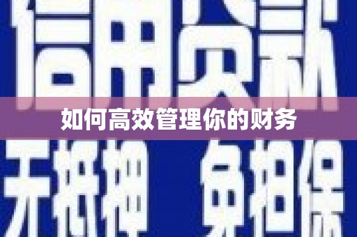 云浮如何高效管理你的财务