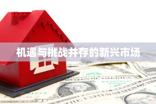 潭子机遇与挑战并存的新兴市场