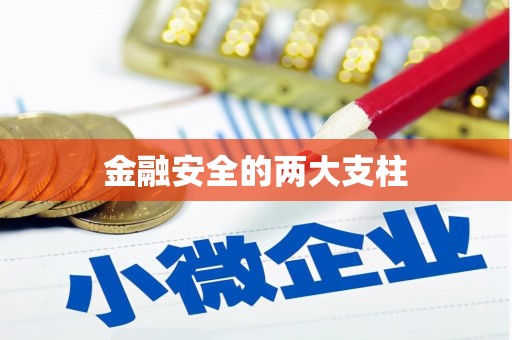 暖暖金融安全的两大支柱