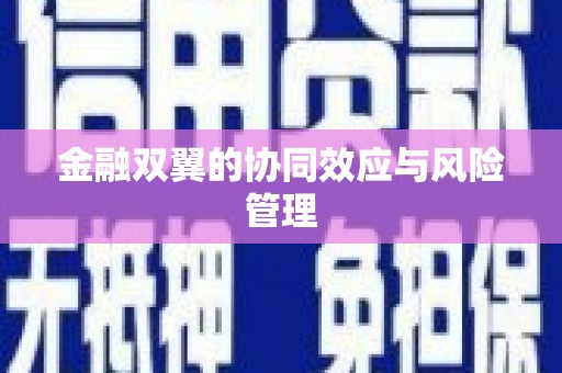 水富金融双翼的协同效应与风险管理