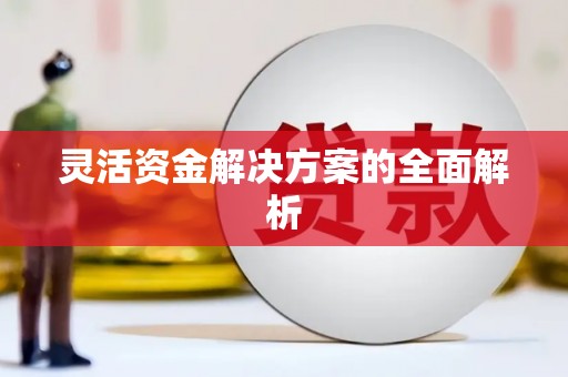 桐城灵活资金解决方案的全面解析