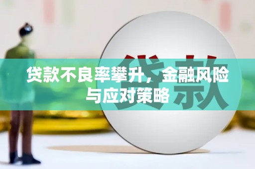 双城贷款不良率攀升，金融风险与应对策略